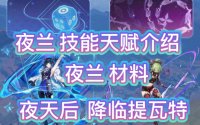 原神夜天后-夜兰圣遗物选择指南:提升你的战斗力的必备攻略