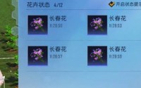 和平精英绿洲世界：花圃种子购买指南