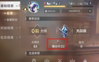 曙光英雄玩家段位怎么看
