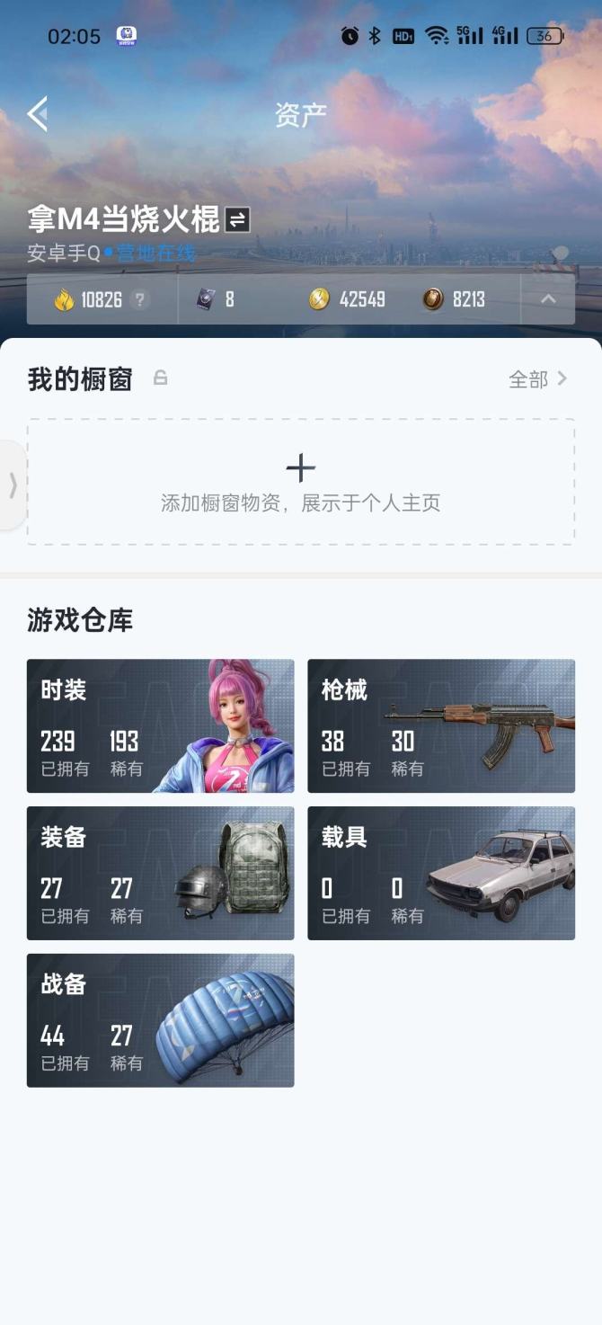 实名: 不可修改 时装数: 4 战备数: 9