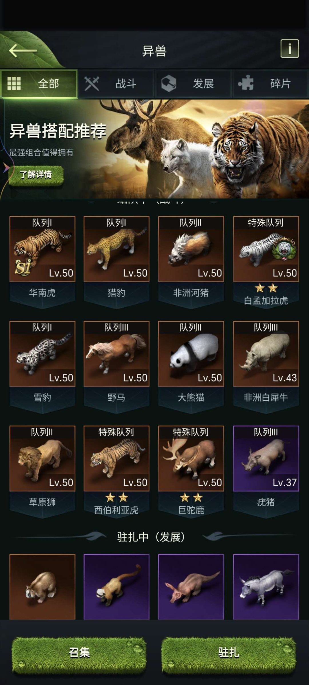 亮点: 新区两个t9号一个草一个肉，战力都...