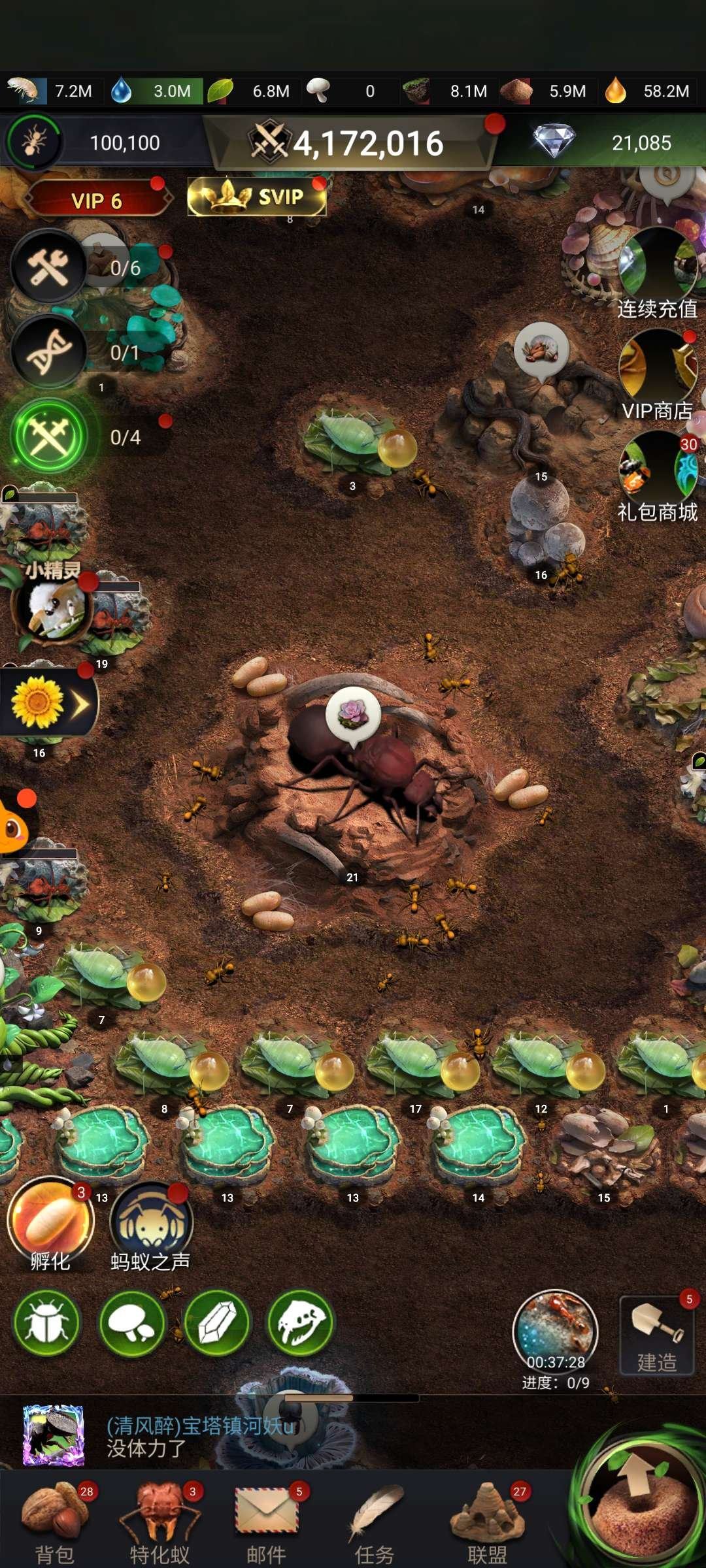 亮点: 工蚁六只，等级礼包等大多都已购买，奖励多