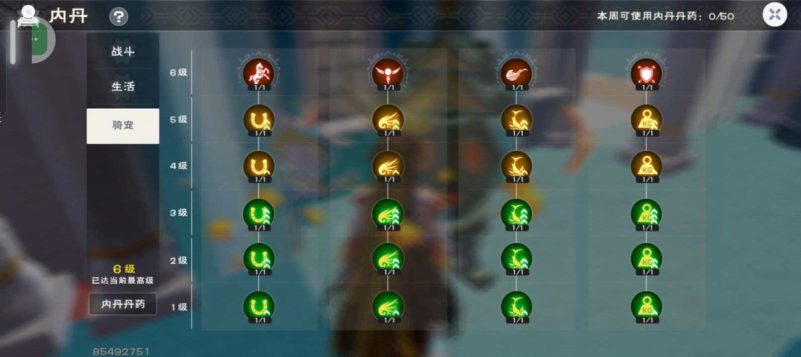 实名: 可修改 亮点: 四龙坐骑，几个可六...