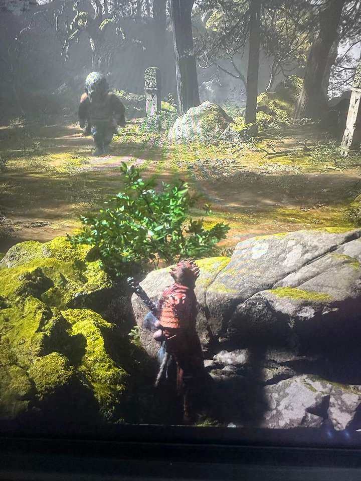 卖家说:买来一关没有打过。太难玩了