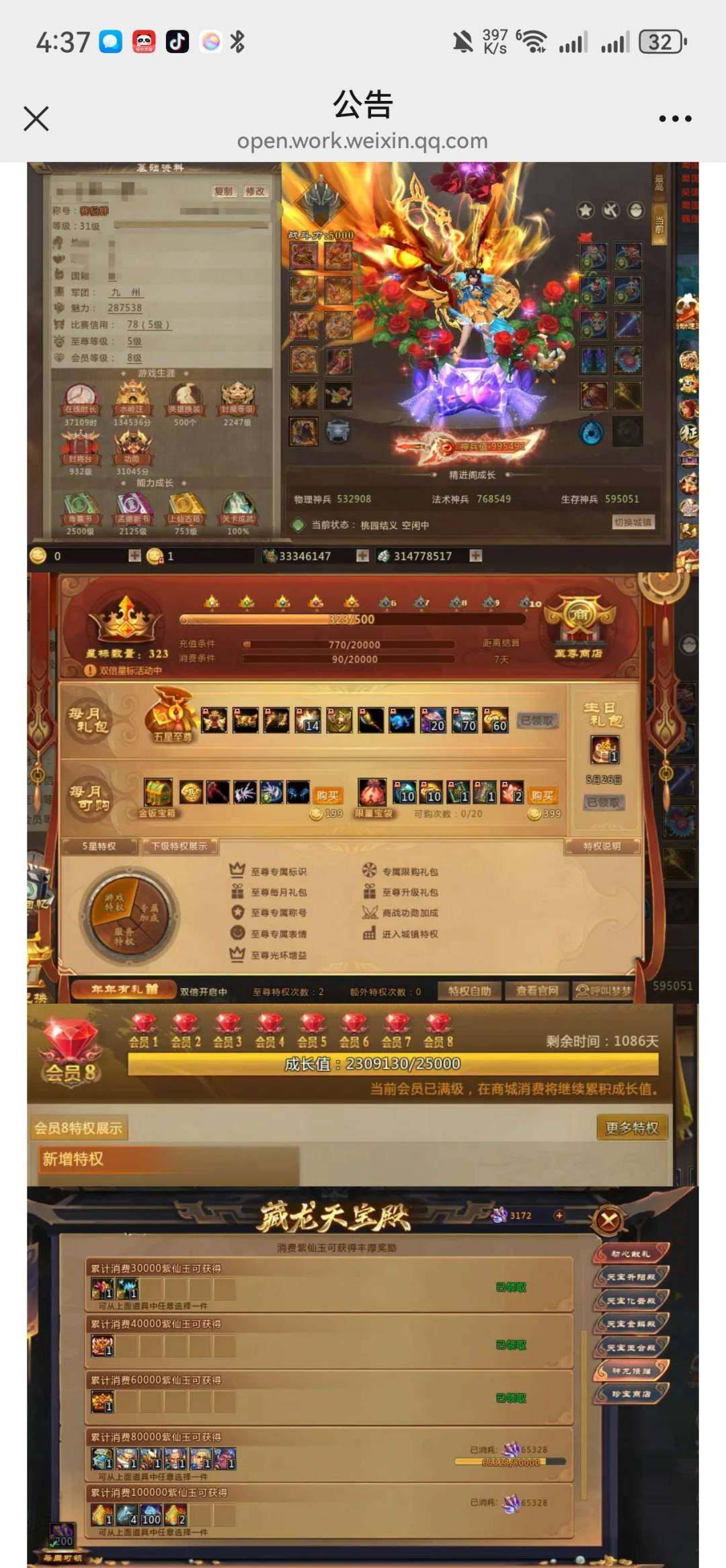 卖家说:桃园a8980 神兵99W+尊5....