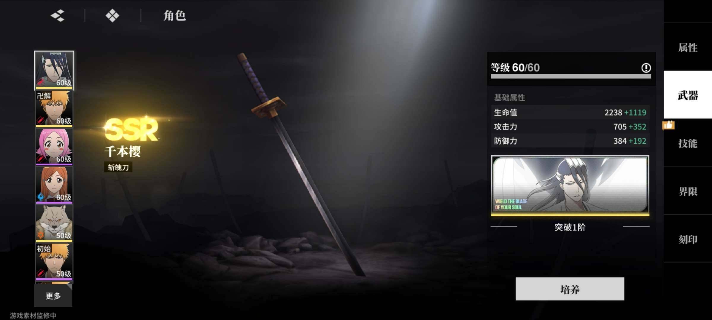 卖家说:40级一命白哉带专武.一命大狗.零...