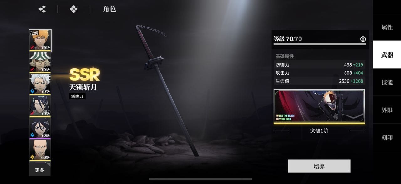 卖家说:一护，白哉，小白都是0加一，店长1加1