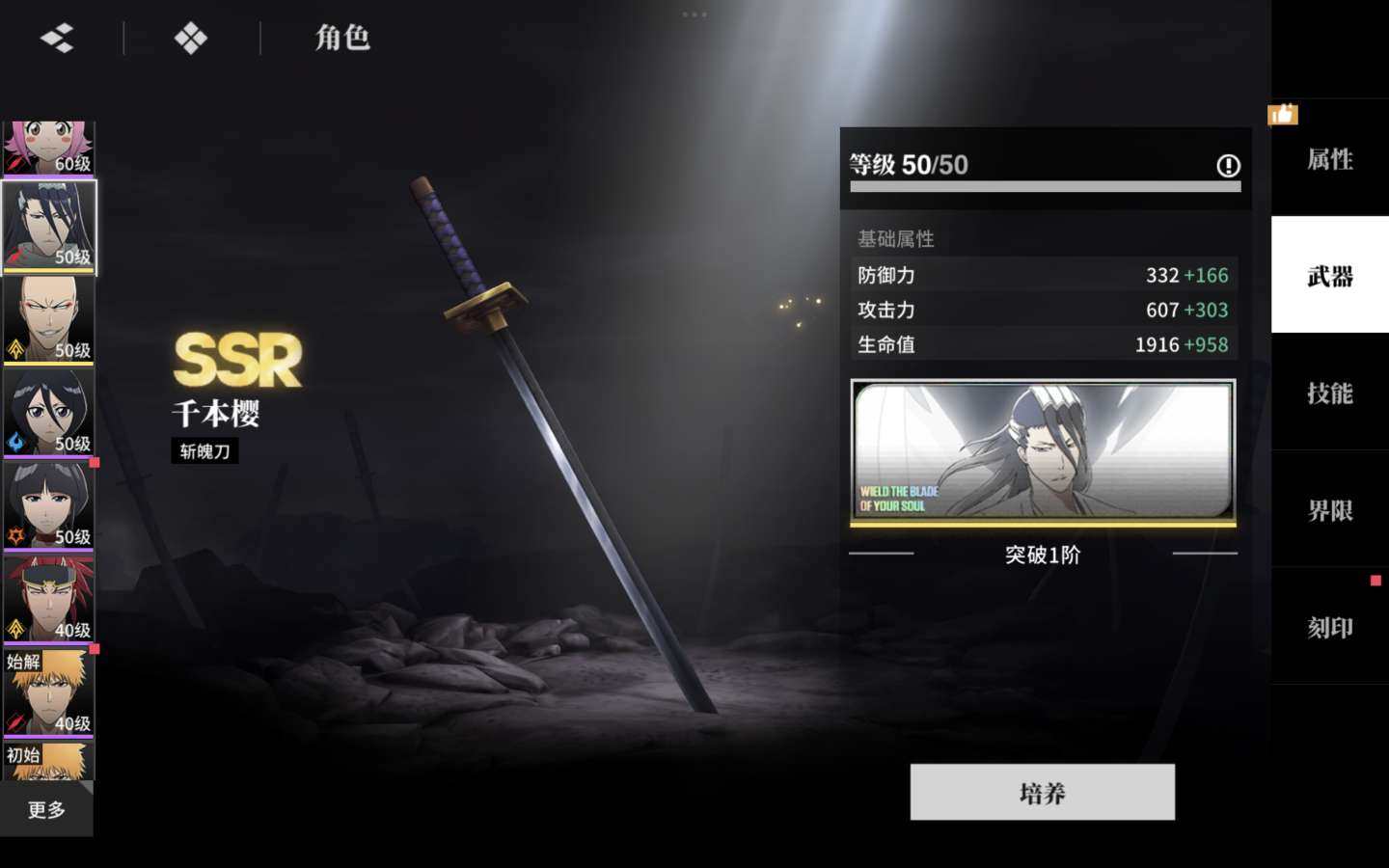 卖家说:蓝染加专武