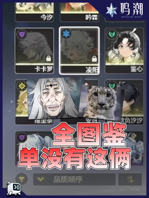 主播视频