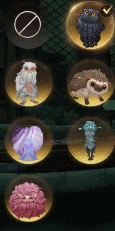 卖家说:高书等多卡皮魔杖皮肤