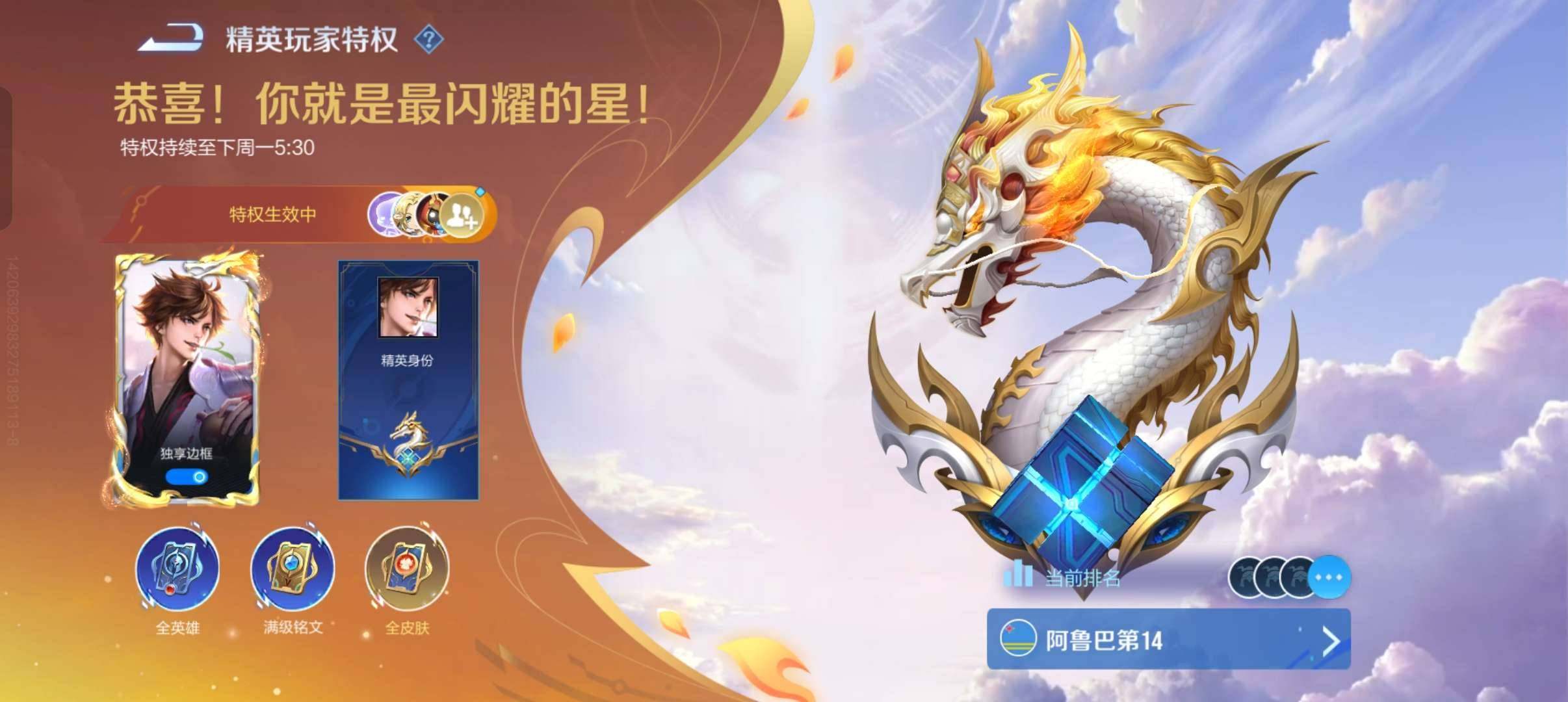卖家说:王者段位带精英特权全皮肤通用