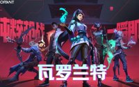 买瓦罗兰特账号哪个平台最安全？老玩家亲测经验分享