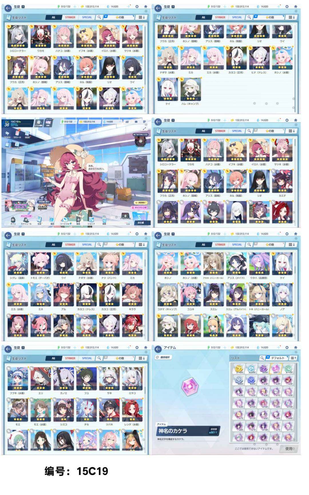 卖家说:全15fes，碧蓝档案（极品)日服...