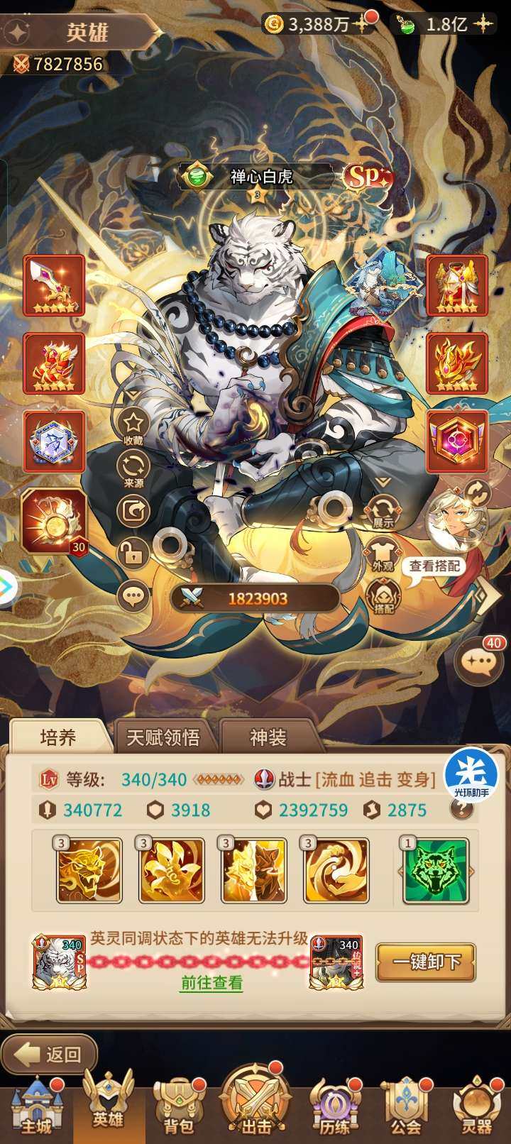 卖家说:13sp老虎，12sp狼王
