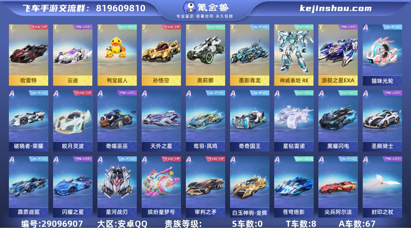 实名:可修改 永久T车数:8 永久A车数:...