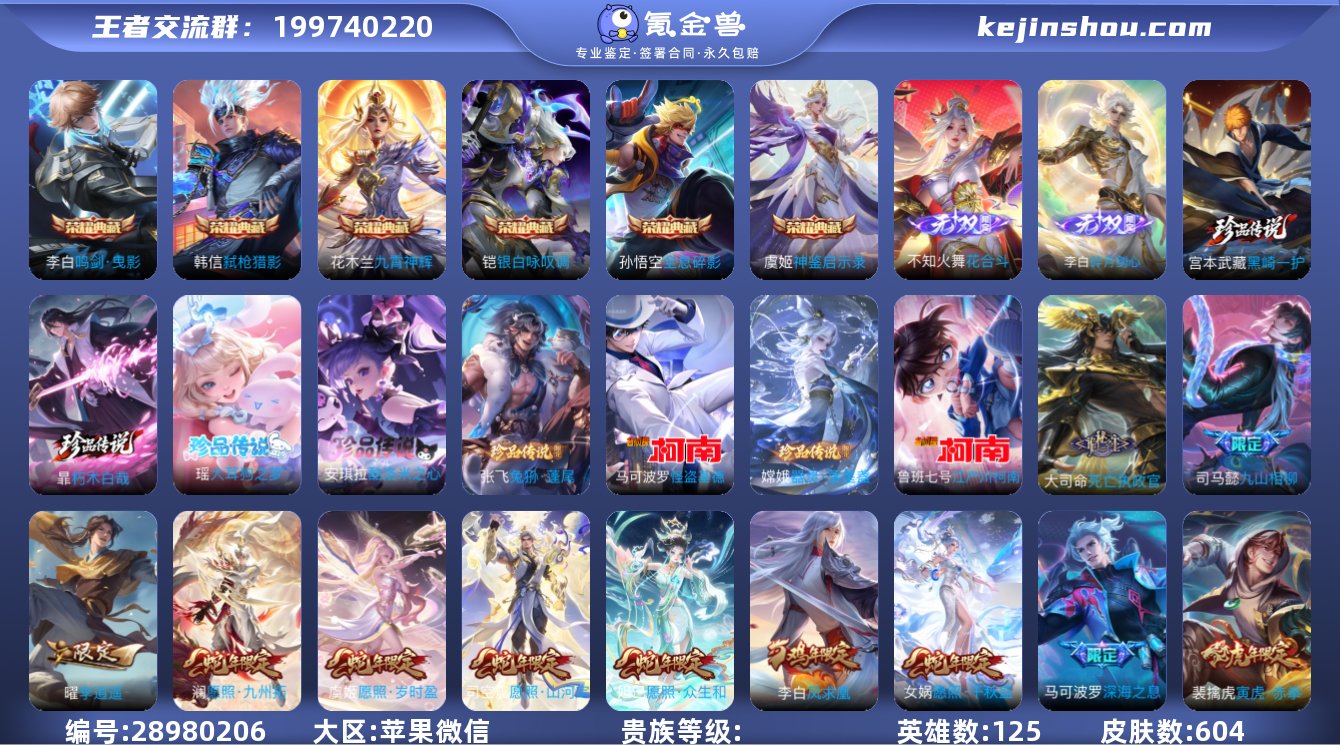 苹果微信/V10/传奇王者/604皮肤/1...