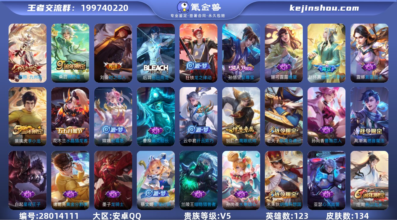 AL602369 【打野小号】 皮肤数13...