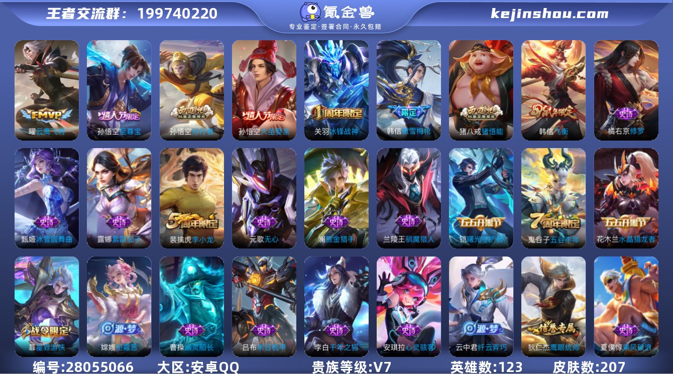 贵族V7 传说皮肤1 史诗皮肤49 皮肤数...