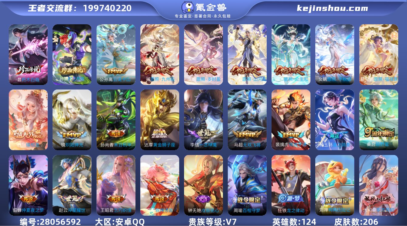 安卓Q-V7-124英雄-206皮肤 打野...