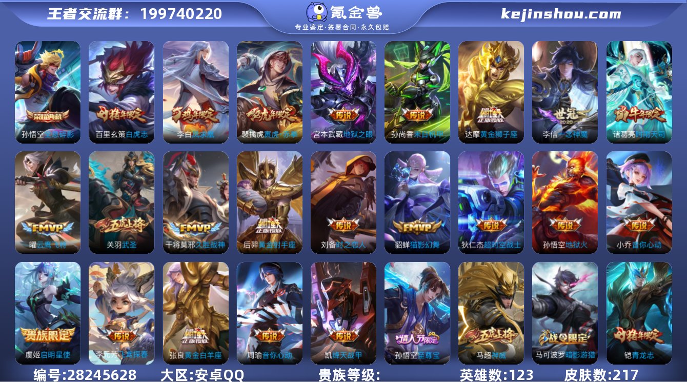 TT安卓QQ V9 可改实名 217皮肤1...