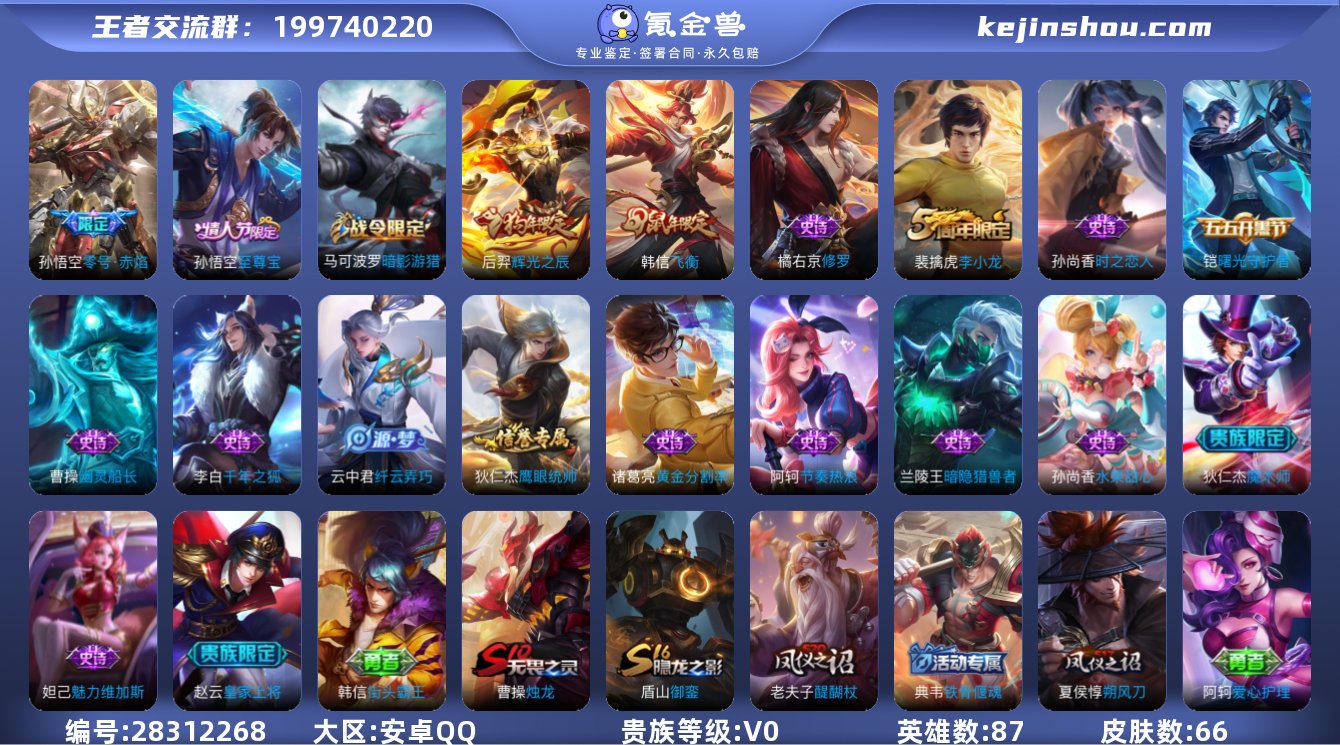 实名:可修改 英雄数:87 皮肤数:66 ...