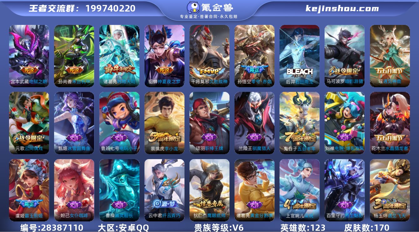 实名: 可修改 贵族等级: V6 英雄数:...