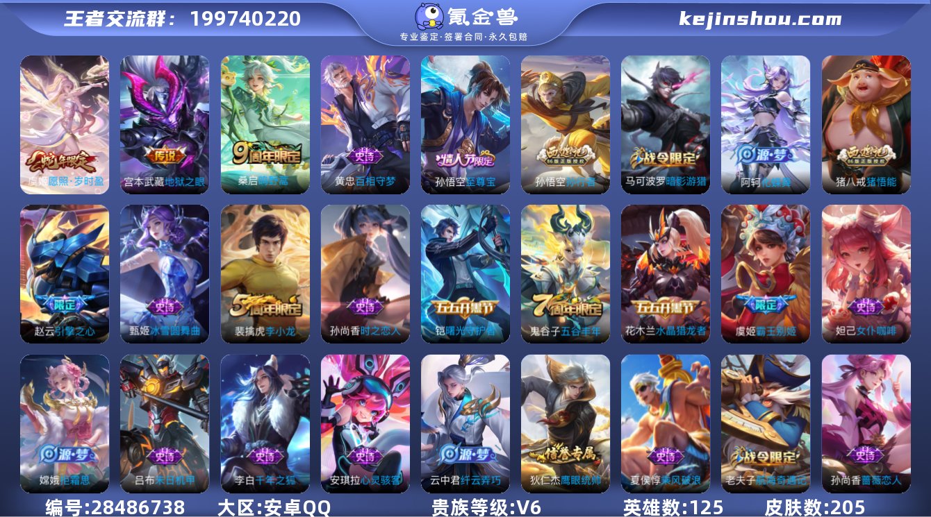 安卓Q 贵族6 星元皮肤1 传说皮肤3 史...