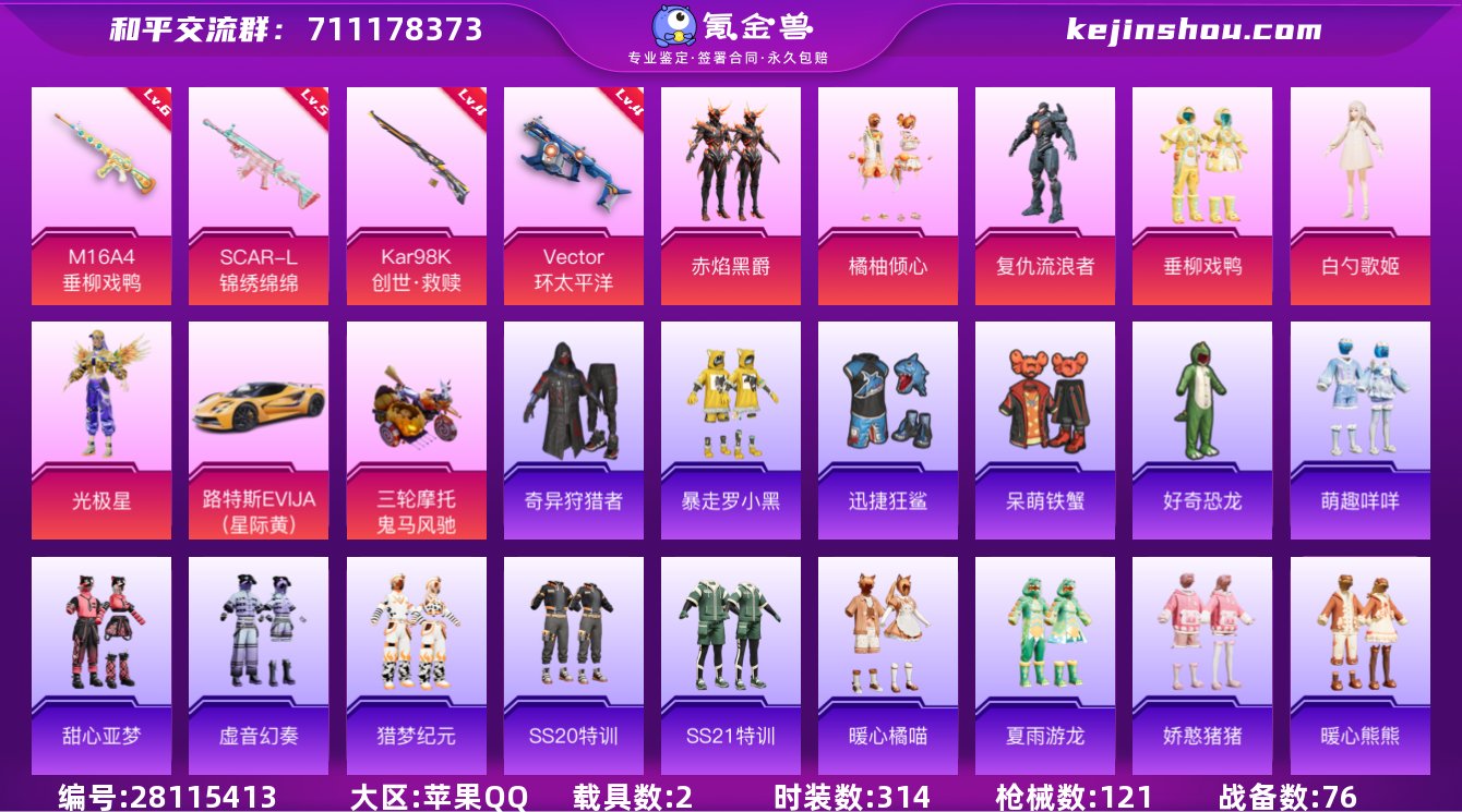 6粉4特2载具 实名: 可修改 时装数: ...