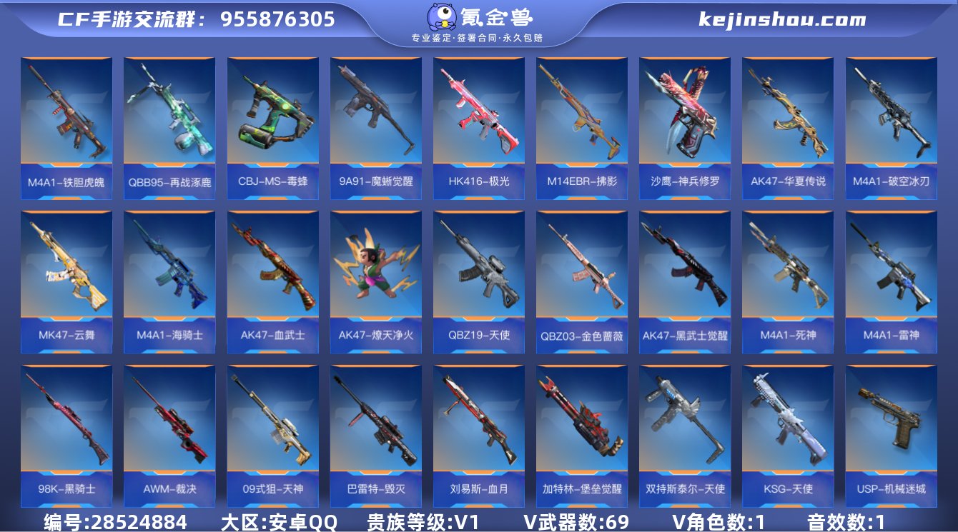 实名: 可修改 贵族等级: V1 v武器:...