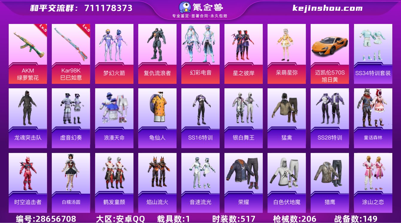 实名:可修改 时装数:517 载具数:1 ...