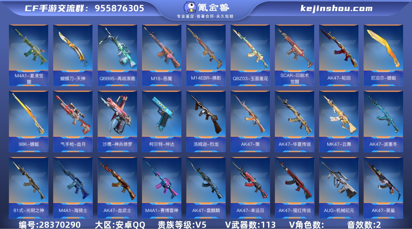 实名:可修改 贵族等级:V5 v武器数:1...