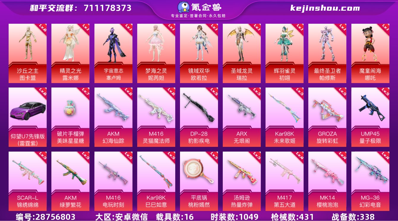 实名:可修改 时装数:1049 载具数:1...