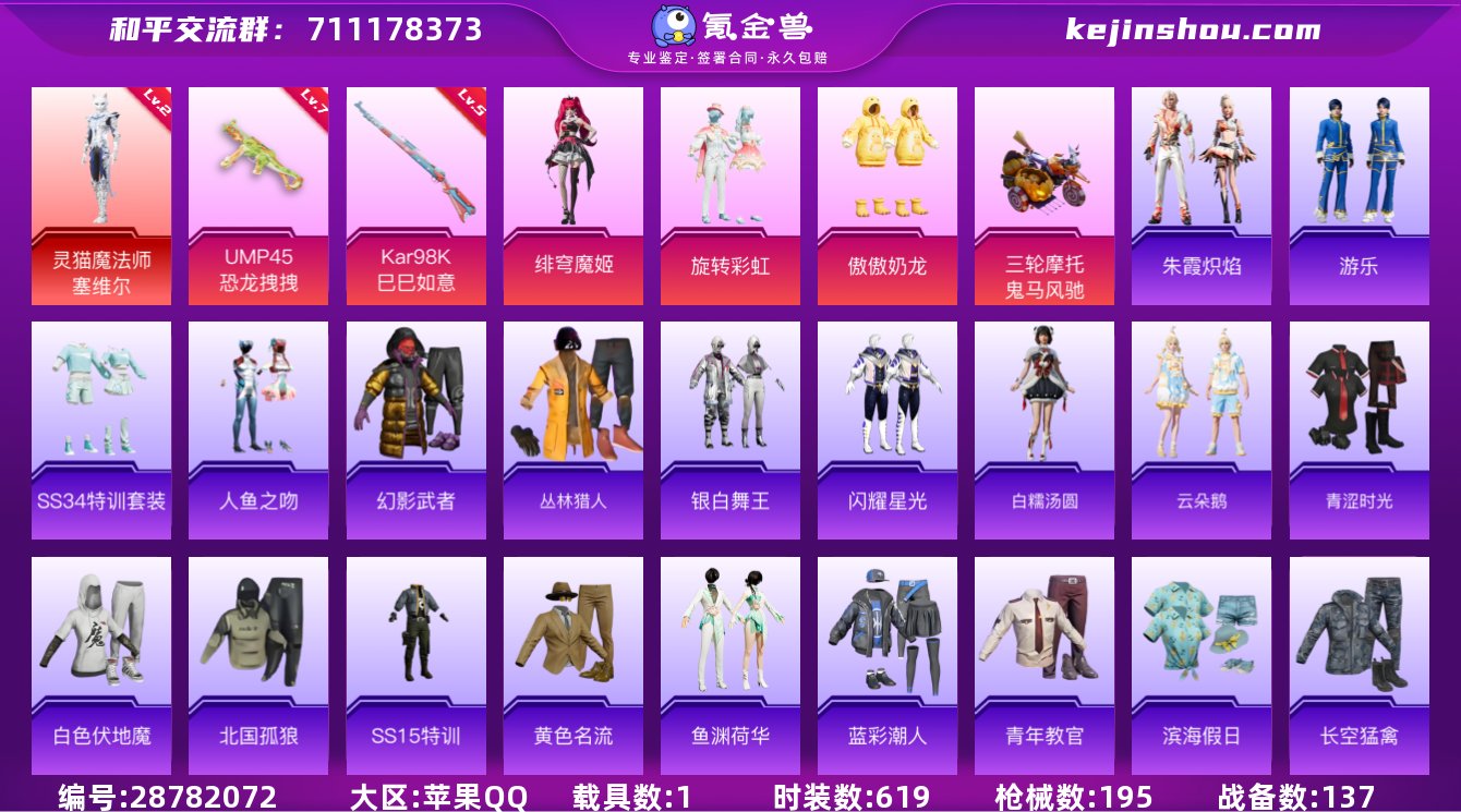 实名:可修改 时装数:619 载具数:1 ...