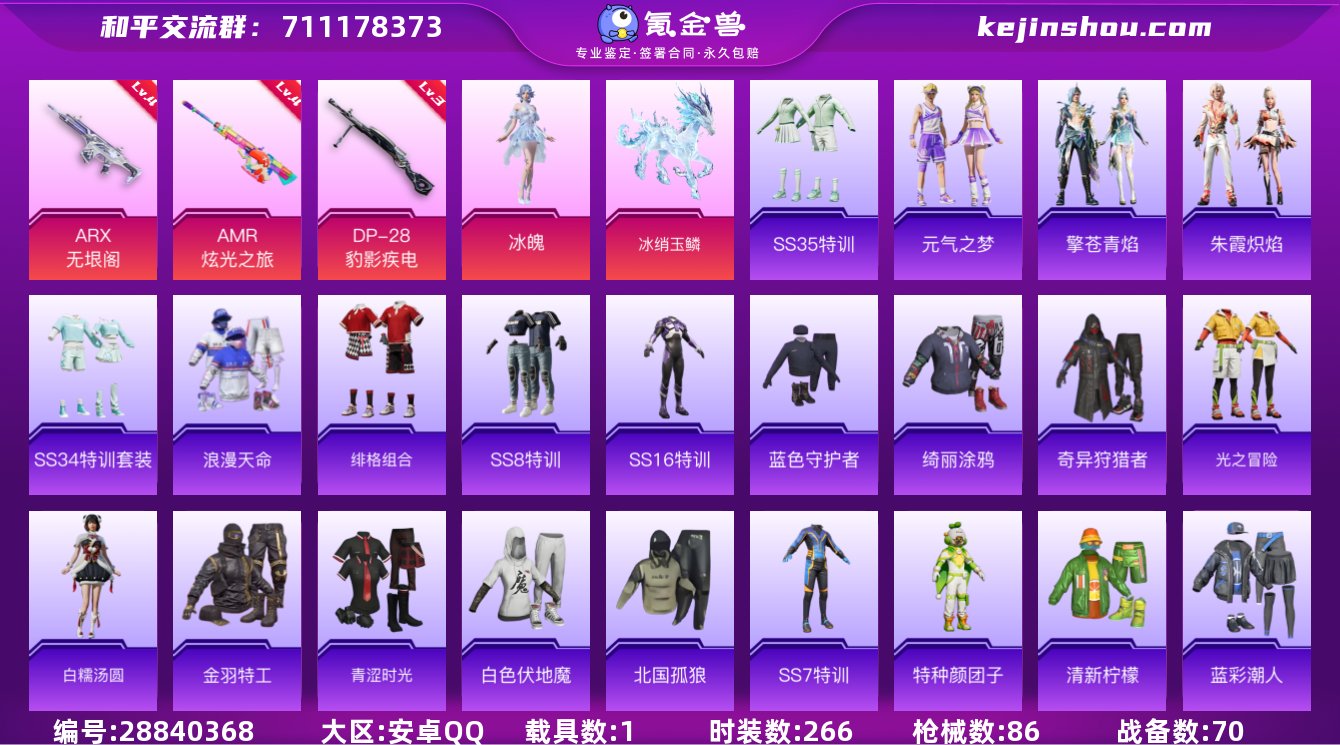 实名:可修改 时装数:266 载具数:1 ...