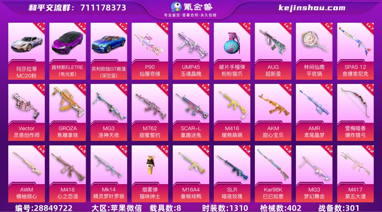 实名:可修改 时装数:1310 载具数:8...