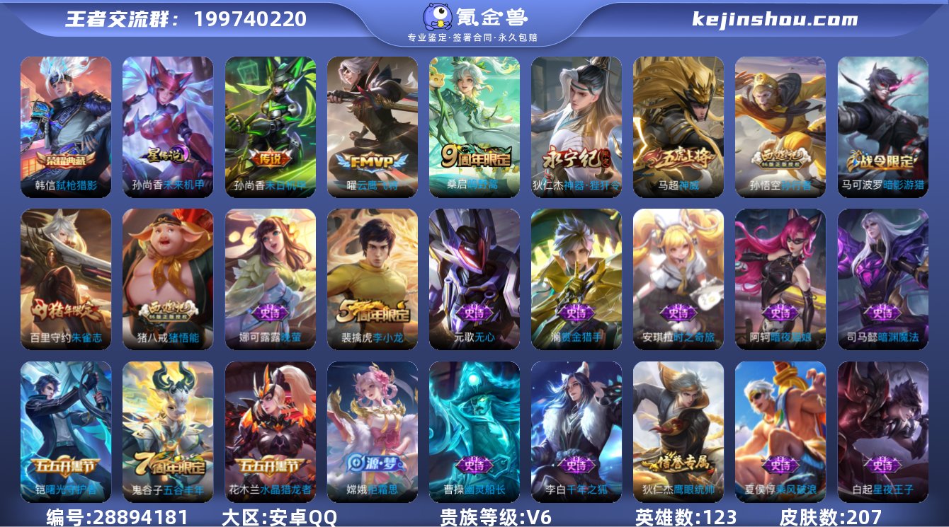 V6 1典藏 4传说 1星元 207皮肤 ...