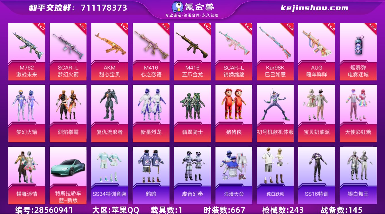 实名:不可修改 时装数:667 载具数:1...