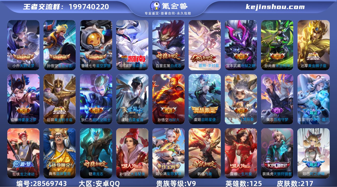 实名:可修改 贵族等级:V9 英雄数:12...