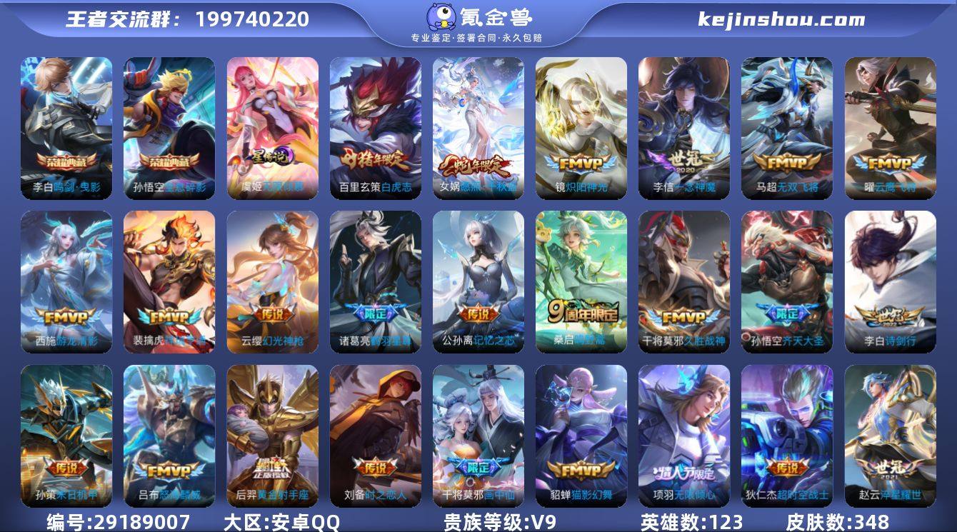 DSW2159 【348皮肤2典藏1星元3...