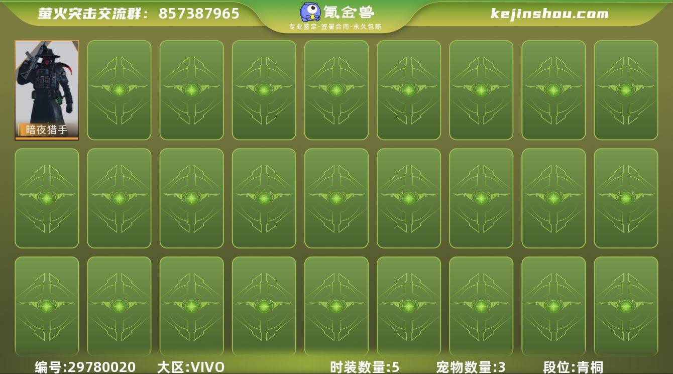 时装数:5 宠物数量:3 暗夜猎手 卖家说...