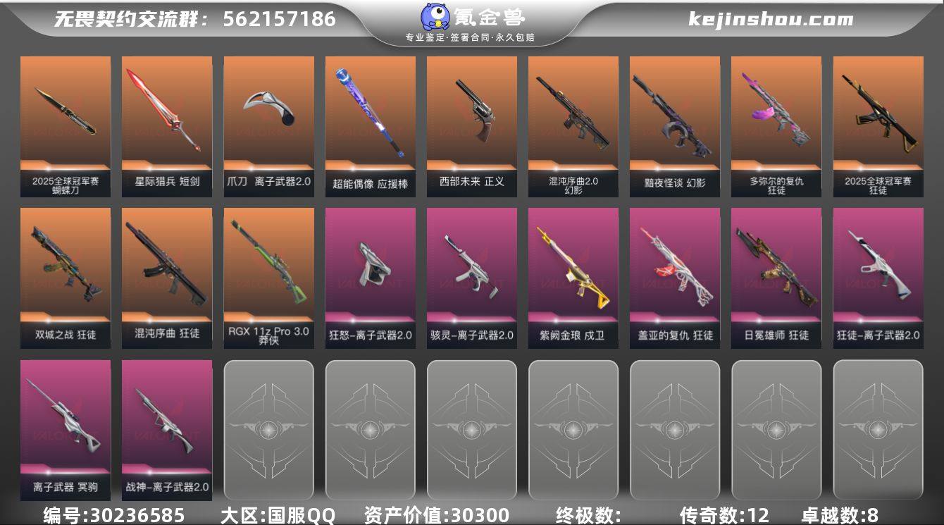 传奇数:12 卓越数:8 皮肤资产价值:3...