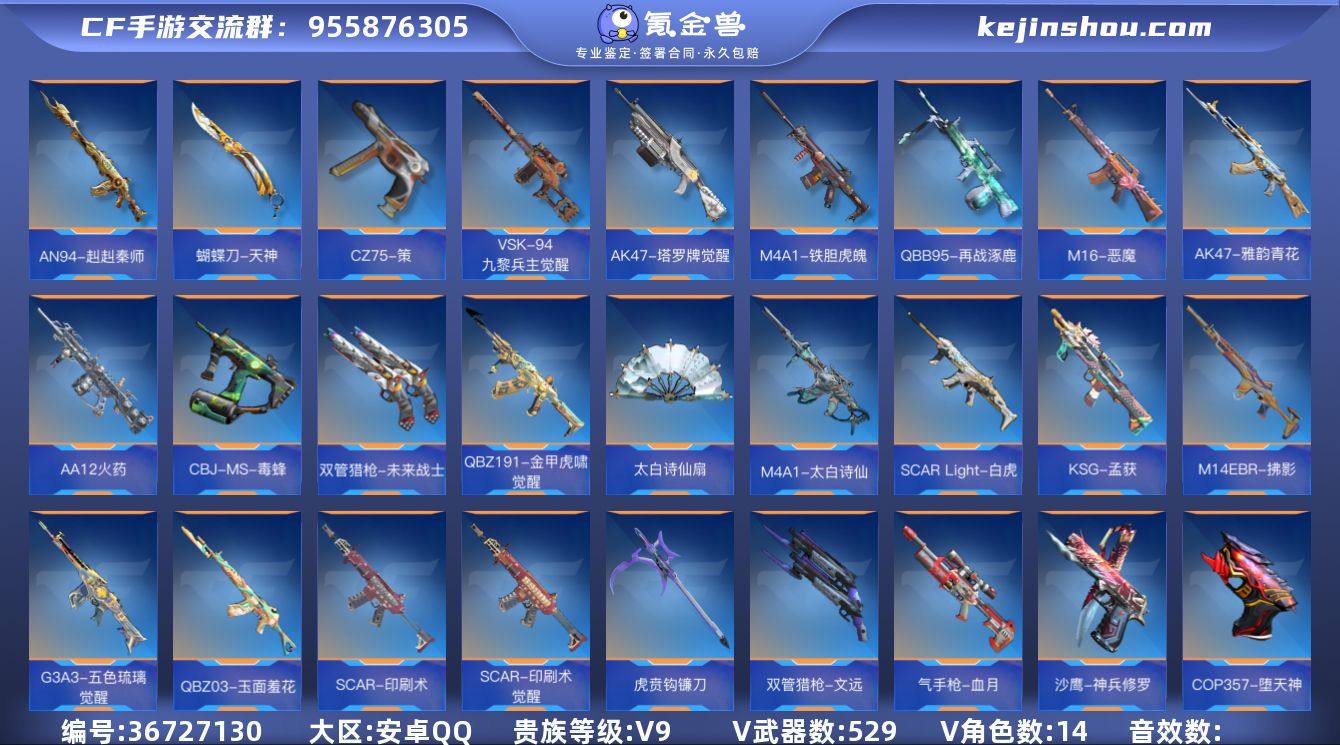 实名: 可修改 贵族等级: V9 v武器:...