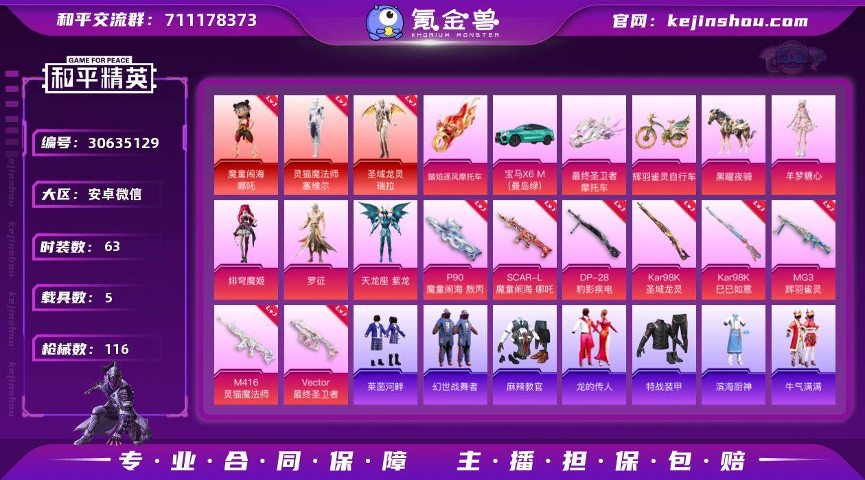 3红装 4粉装 8粉枪 5载具 63套装 ...