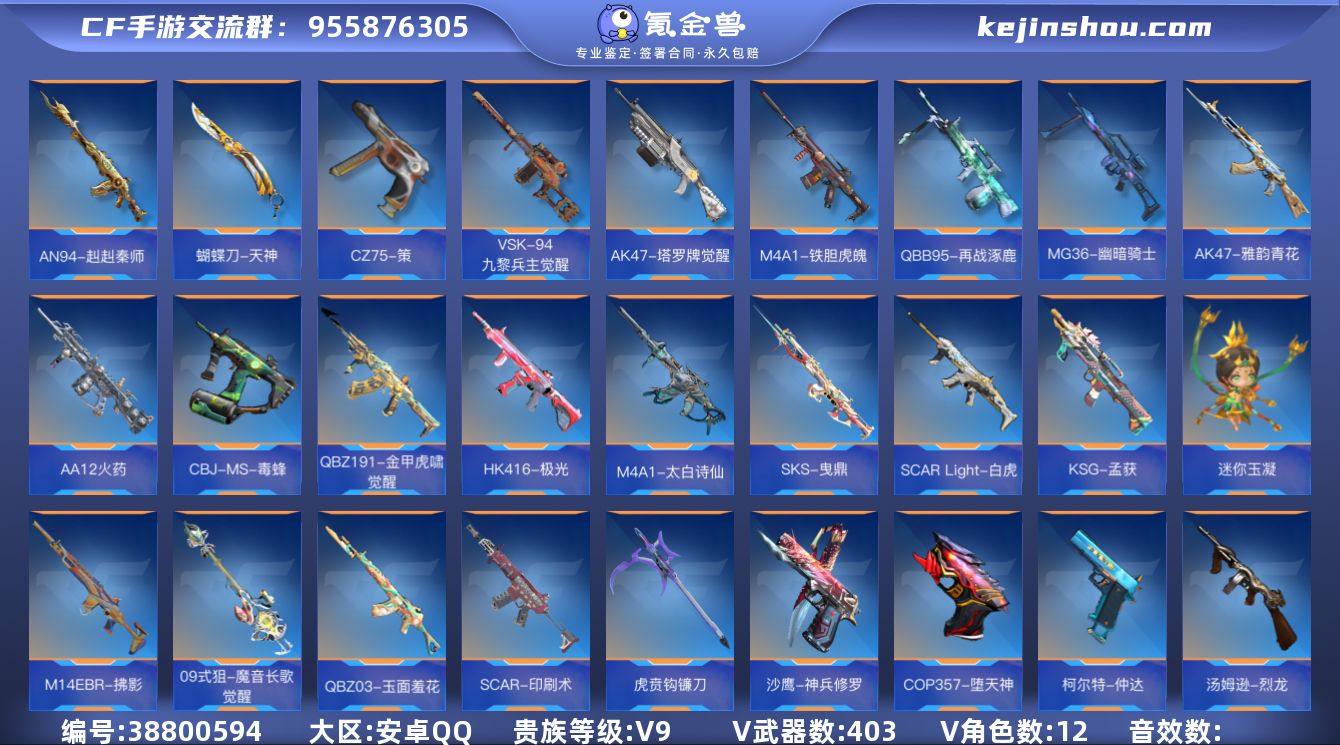 实名: 不可修改 贵族等级: V9 v武器...