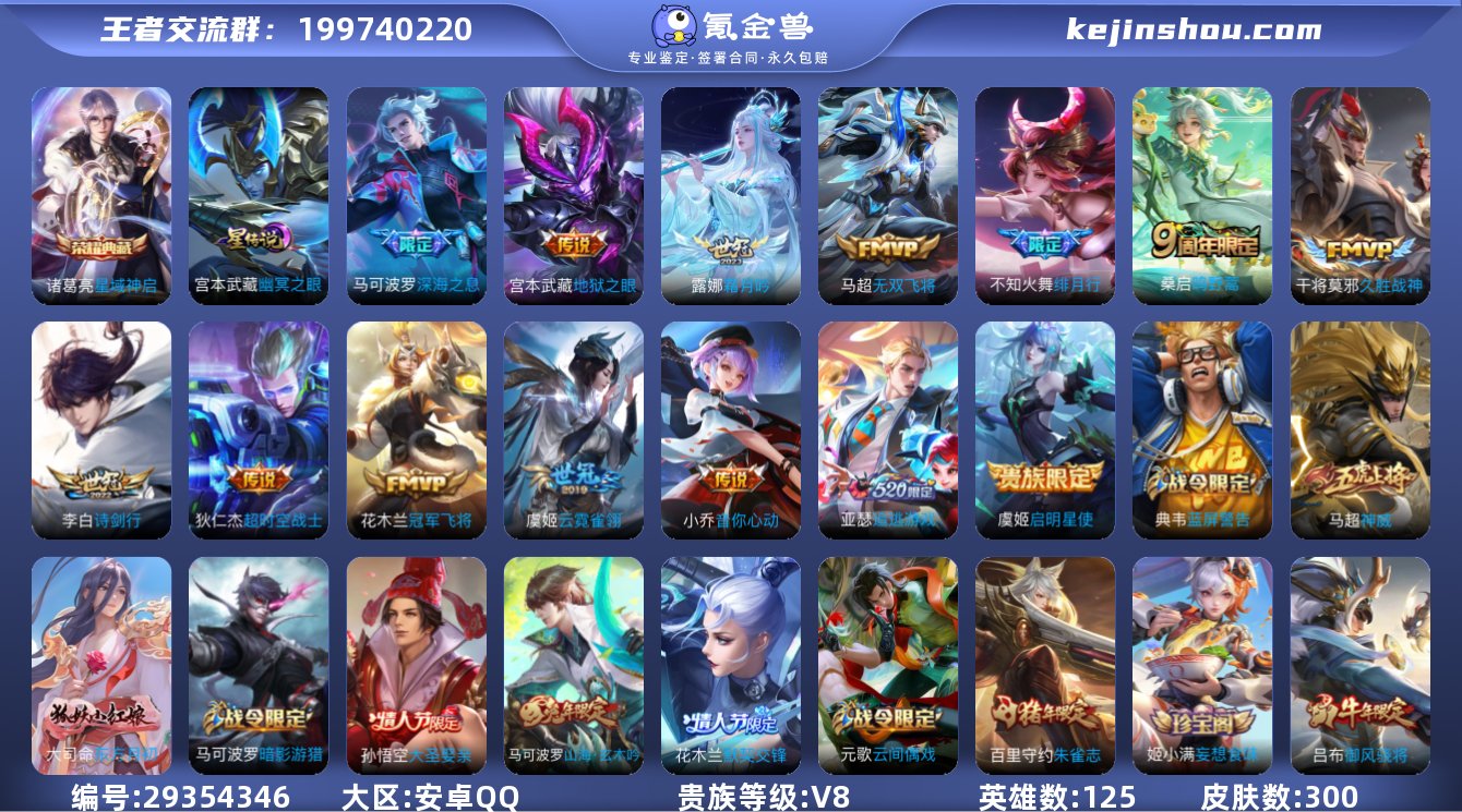 实名: 可修改 贵族等级: V8 英雄数:...