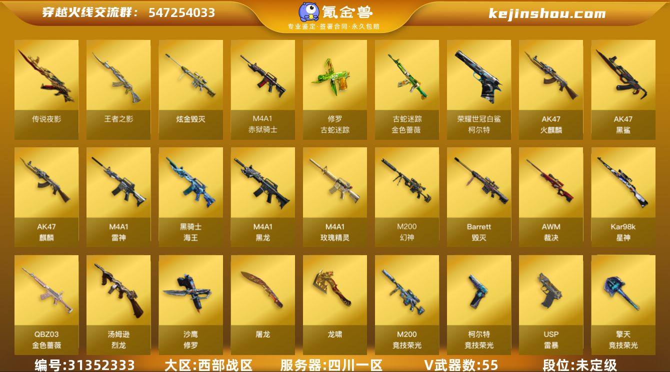 四川一区-59V-5王者-1炫金
【传说武...