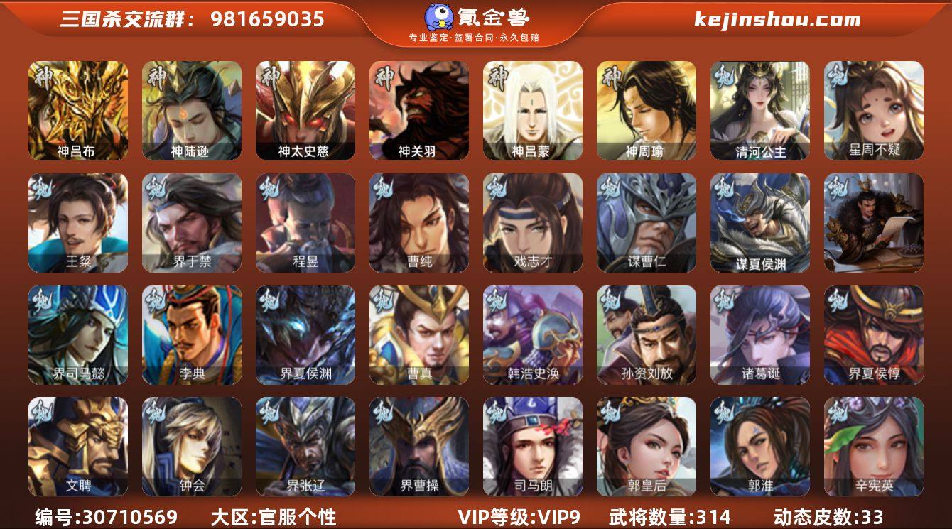 官阶:骠骑将军；VIP等级:VIP9；史诗...