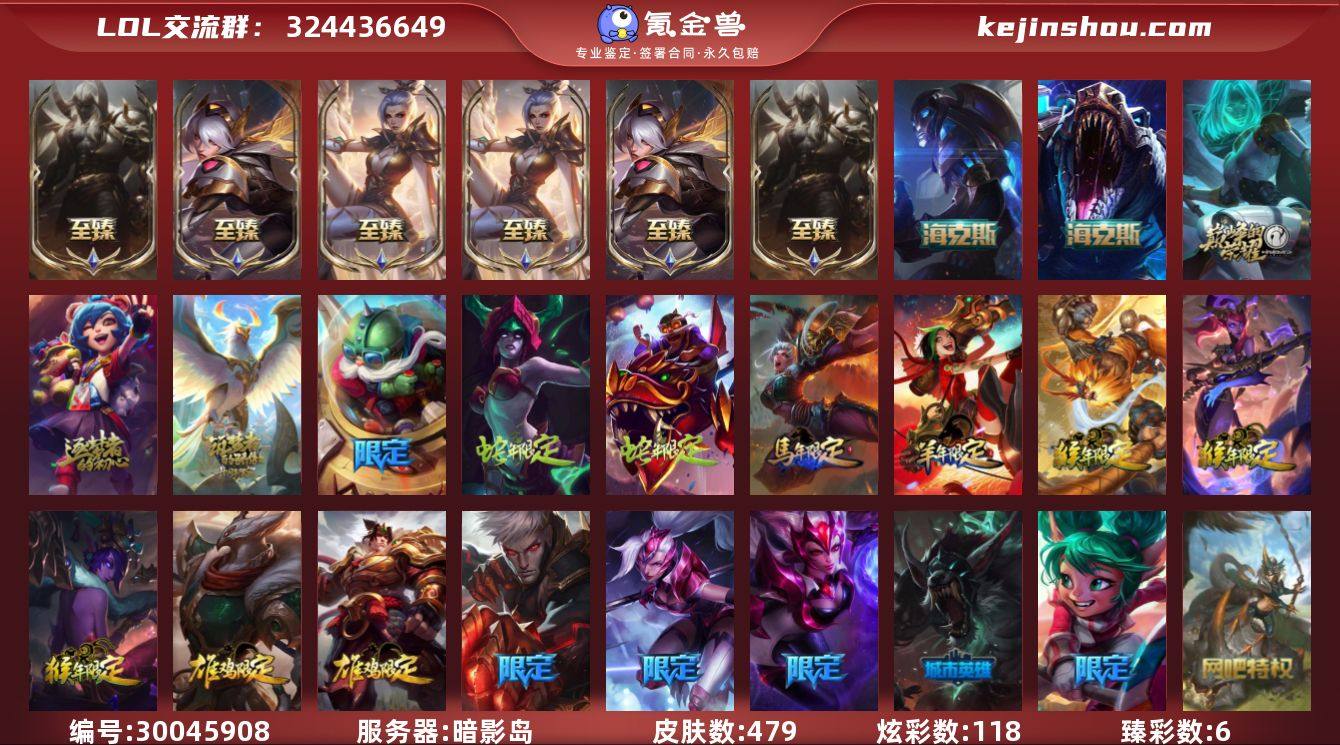 皮肤数:479 炫彩数:118 臻彩皮肤总...