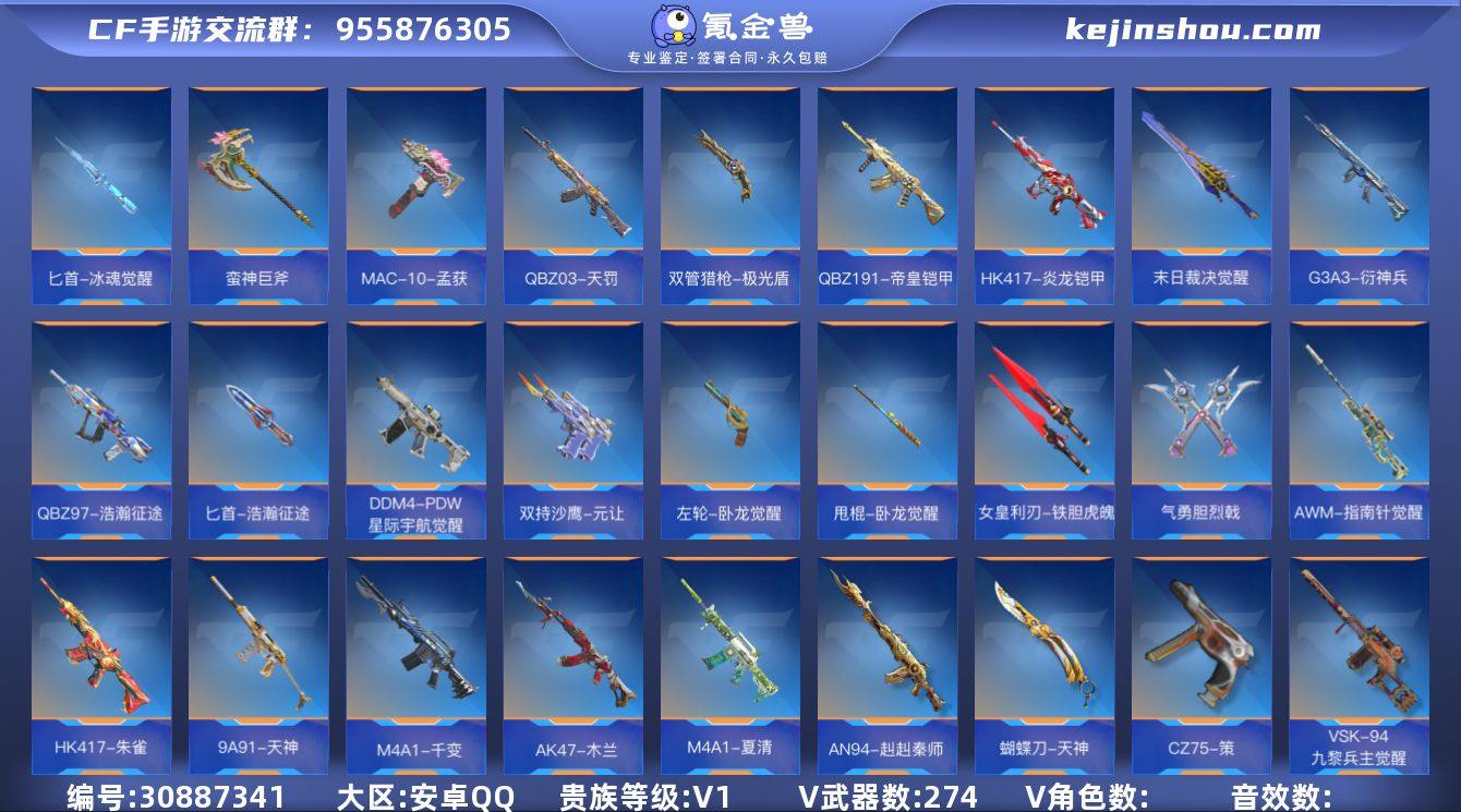 XXQZ55【V1 274V 234金V ...