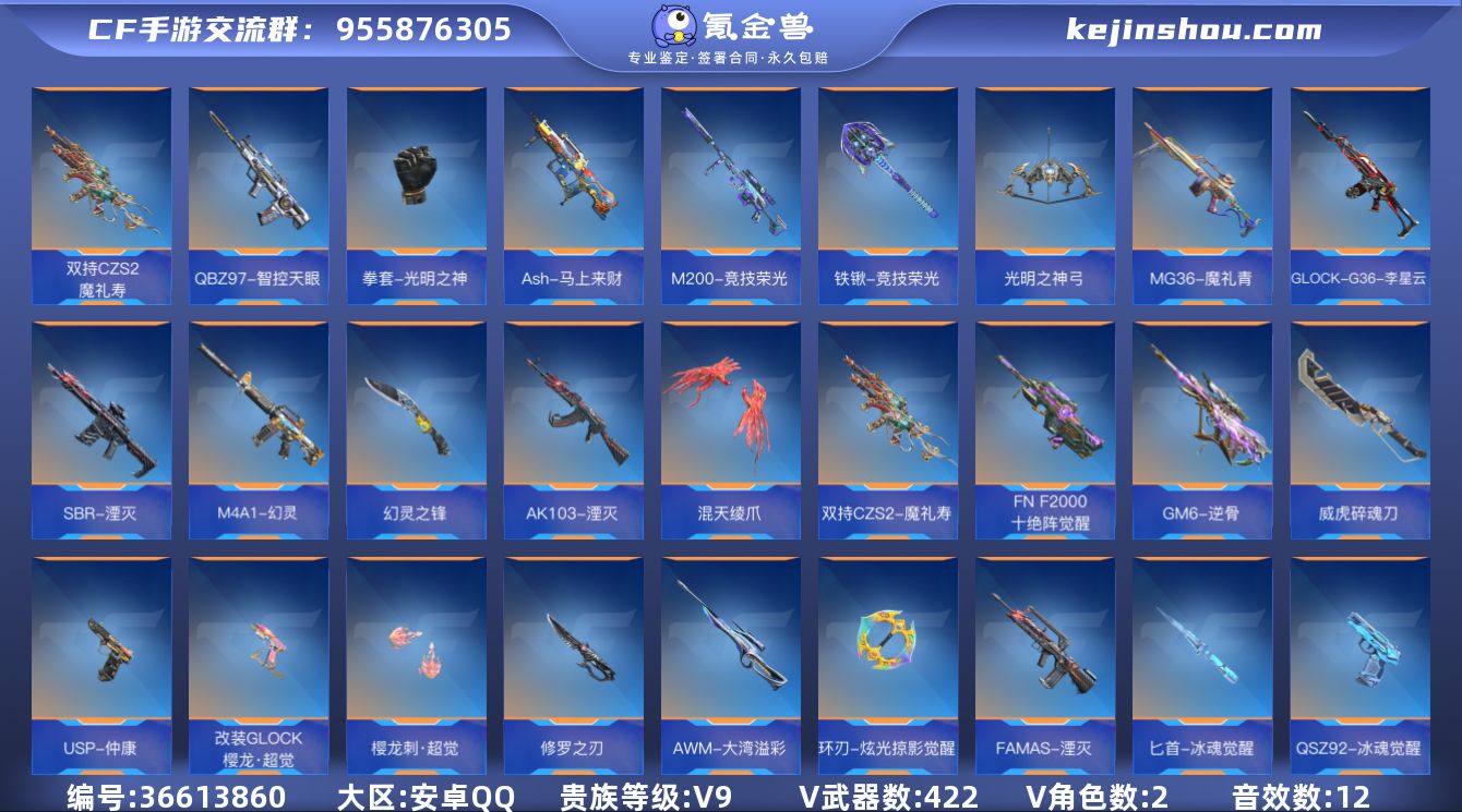 实名: 可修改 贵族等级: V9 v武器:...